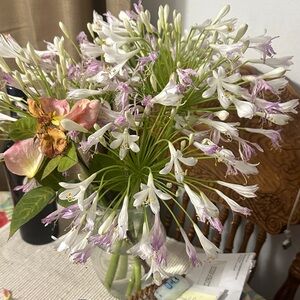 Elegant Floral Arrangement in Glass Vase